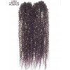 EXTENSII AFRO BRAZILIAN CROCHET BRAIDS BOX PAR SINTETIC BUCLE SUVITE REZISTA DUREAZA APLICARE INTRETINERE 