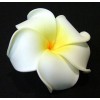 clama par hawaii frangipani plumeria cleme floare  clip agrafa agrafe sexy impletituri poze afro codite impletite ieftin da bun 