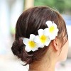 clama par hawaii frangipani plumeria cleme floare  clip agrafa agrafe sexy impletituri poze afro codite impletite ieftin da bun 