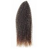 brazilian extensii par crochet braids afro suvite codite croseta cret 50CM OMBRE - 1_33 - NJS